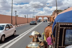 Marokko-Tour-Tag-7-Marrakesch-37