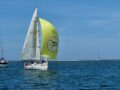 Zurück an die Algarve